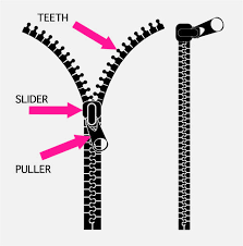 Graphic of a zipper. Showing each part of a zipper